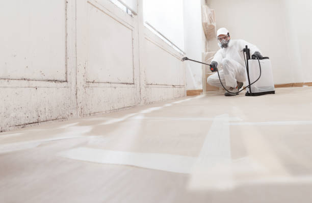 24/7 Emergency Mold Testing experts in Ward, CO